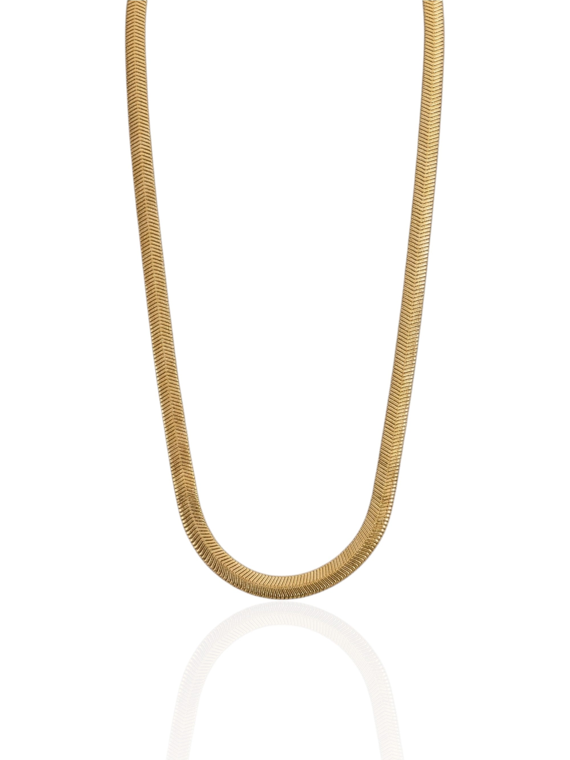 Collar Ekans